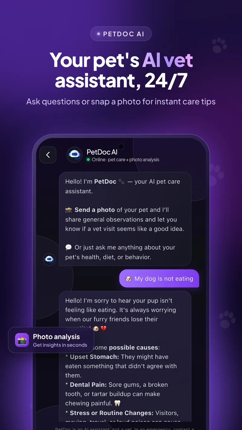 PetDoc AI chat