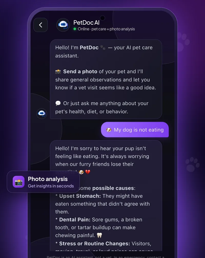 PetDoc AI answering a question about a dog that is not eating