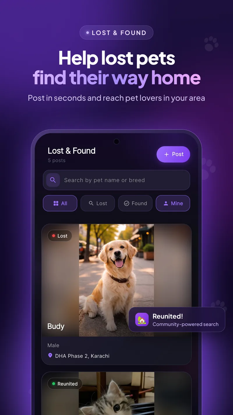 Lost and found